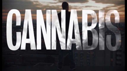 "Cannabis" sur Arte : good trip ou bad trip ?