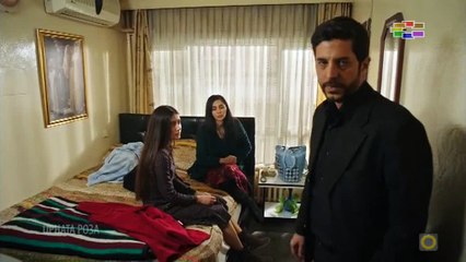 Црната Роза 245