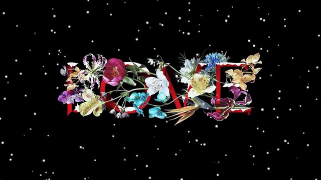 Emily Ratajkowski dans un clip très sexy pour Love Magazine