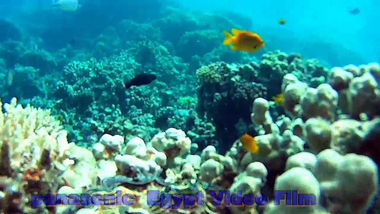 Hurghada ,The Bride Of The Red Sea