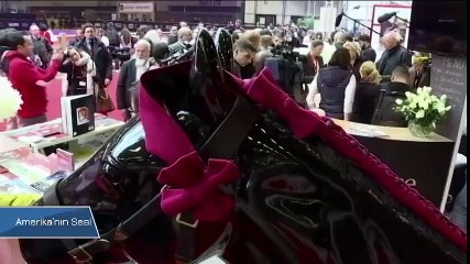 Avrupa’daki Siyasi Gelişmeler Rusya İçin Ne Anlama Geliyor?