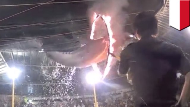 Dolphins forced to jump through flaming hoops, bears ride tricycles in Indonesian circus