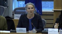 Audition de Delphine Batho par la Commission EMIS du Parlement européen - 05 décembre 2016