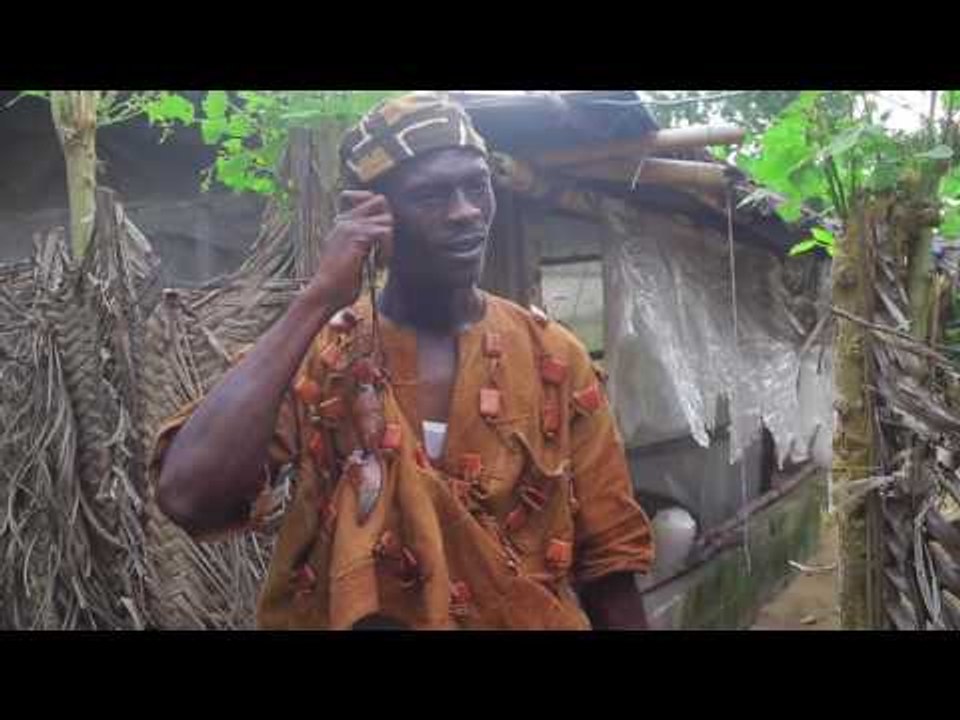 thierry zo 15 la selection 2