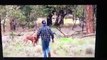 Cet homme se bat avec un kangourou pour défendre un chien !