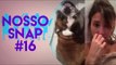 PETS DA PAVANELLI E JANNINI, MOMENTO THUG LIFE DA RACHEL APOLLONIO | NOSSO SNAP #16