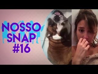 PETS DA PAVANELLI E JANNINI, MOMENTO THUG LIFE DA RACHEL APOLLONIO | NOSSO SNAP #16