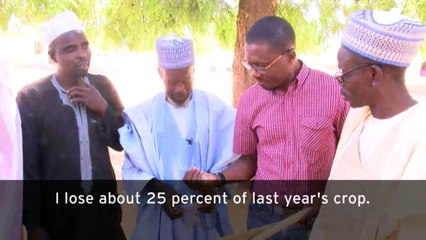 Nigeria's farmers adapt to climate change | Eco-at-Africa