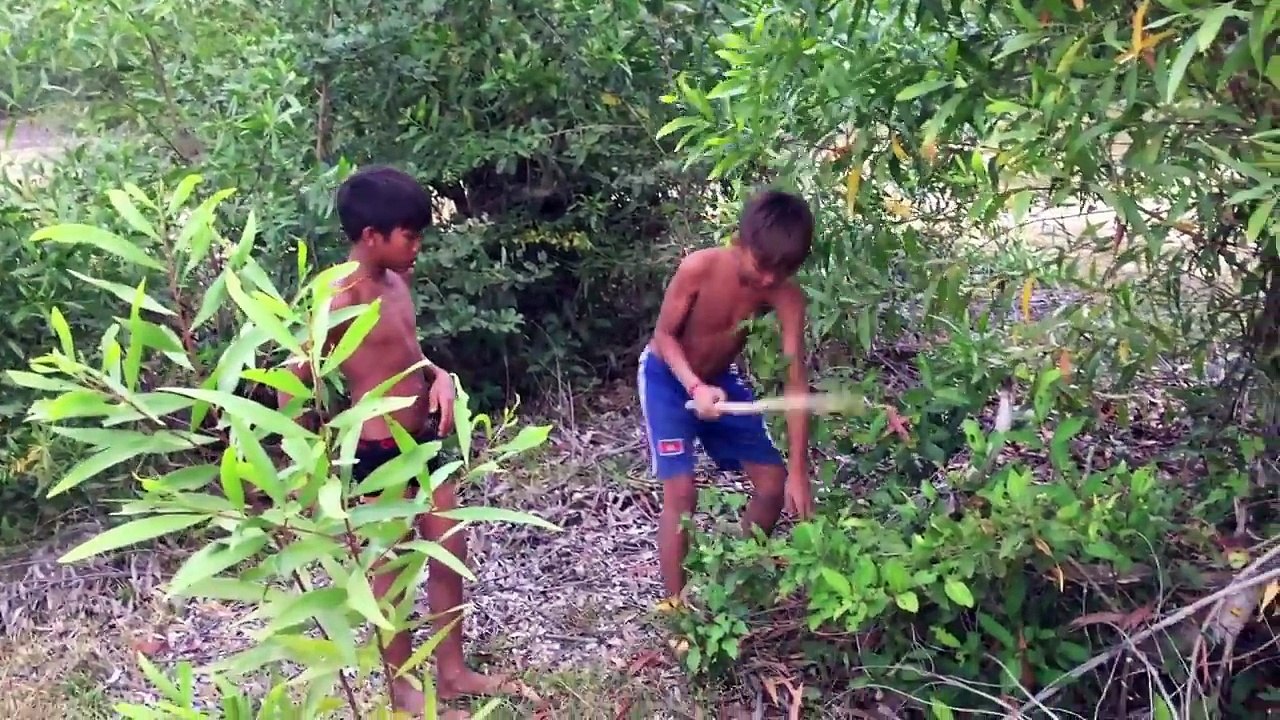 Wow! Brave Children Catch Big Snake With Bare Hand - How to Catch Big Snake in Cambodia