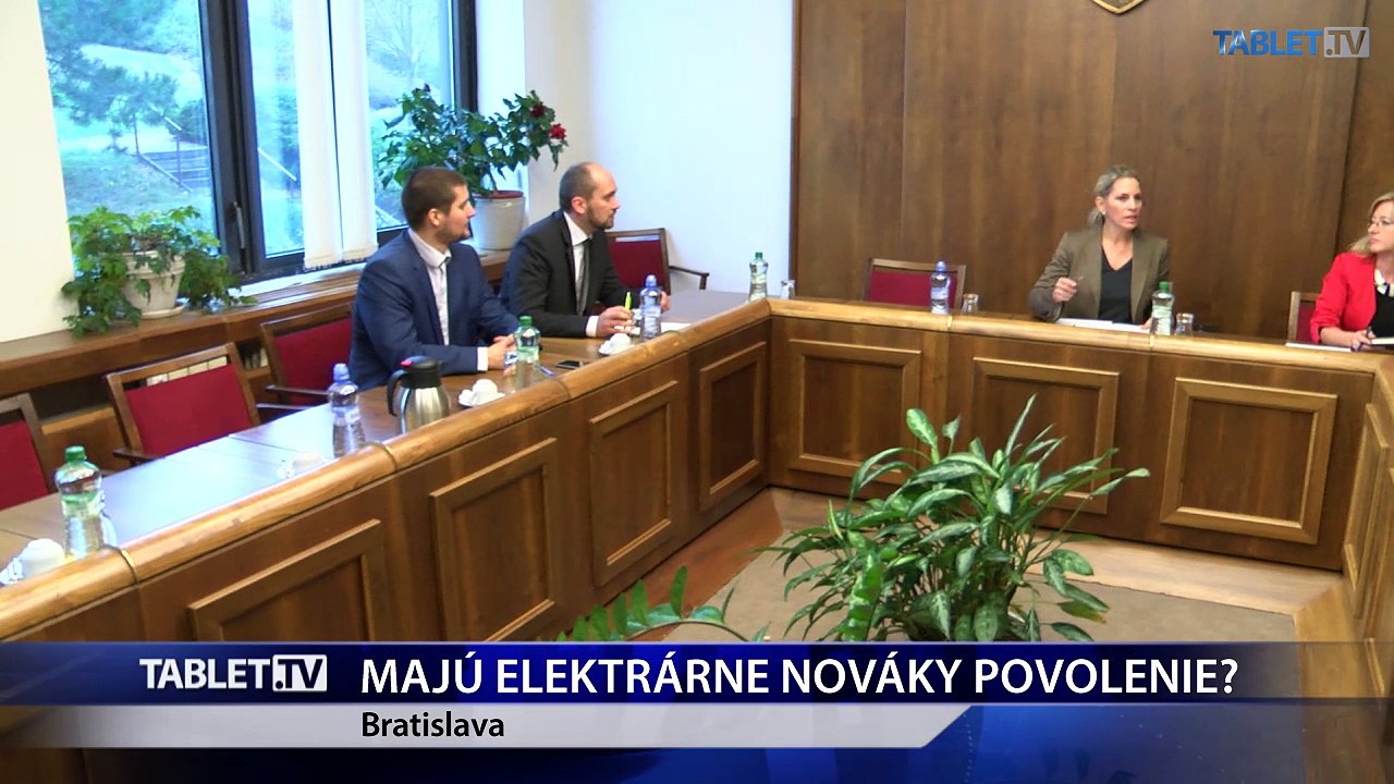 P. ŽIGA: SaS v prípade tretieho bloku elektrárne Nováky politikárči