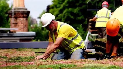Wallbarn M Tray Modular Green Roofing System