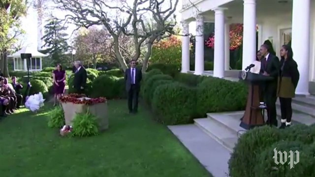 President Obama cracks 'dad jokes' during Thanksgiving turkey pardoning