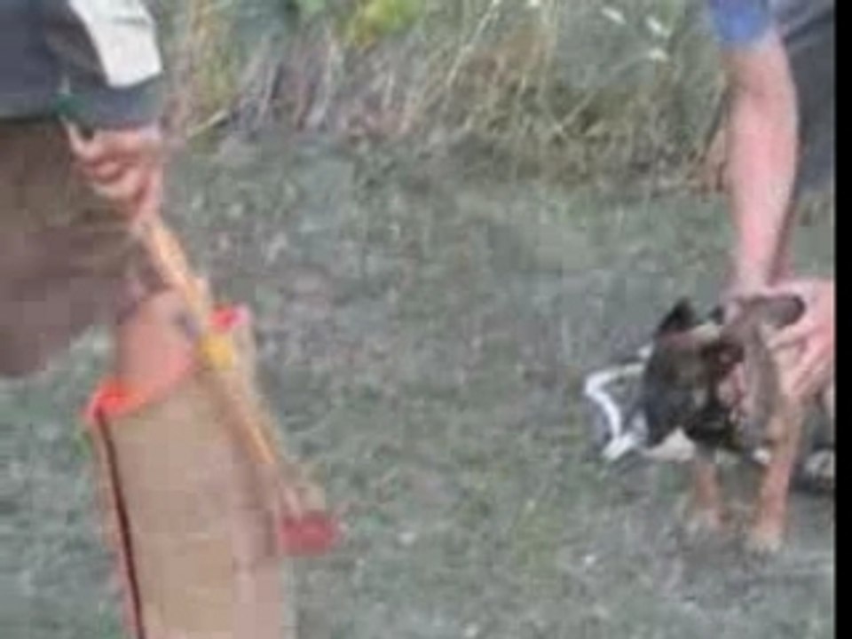 Be Aware AVidoque-Schutz-19.08.2007