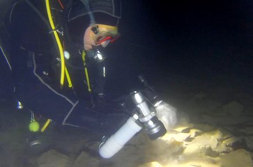 La perche et le cameraman des grands fonds