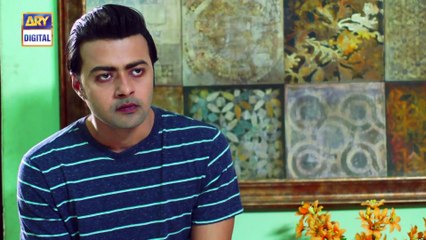 Watch Mein Mehru Hoon Episode 97 - on Ary Digital in High Quality 8th December 2016