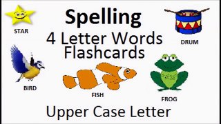 Spelling: 4 Letter Words Flascards Upper Case Letter for Baby Toddler Kindergarden