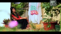 Haal-e-Dil Ep 55 - on Ary Zindagi in High Quality 8th December 2016