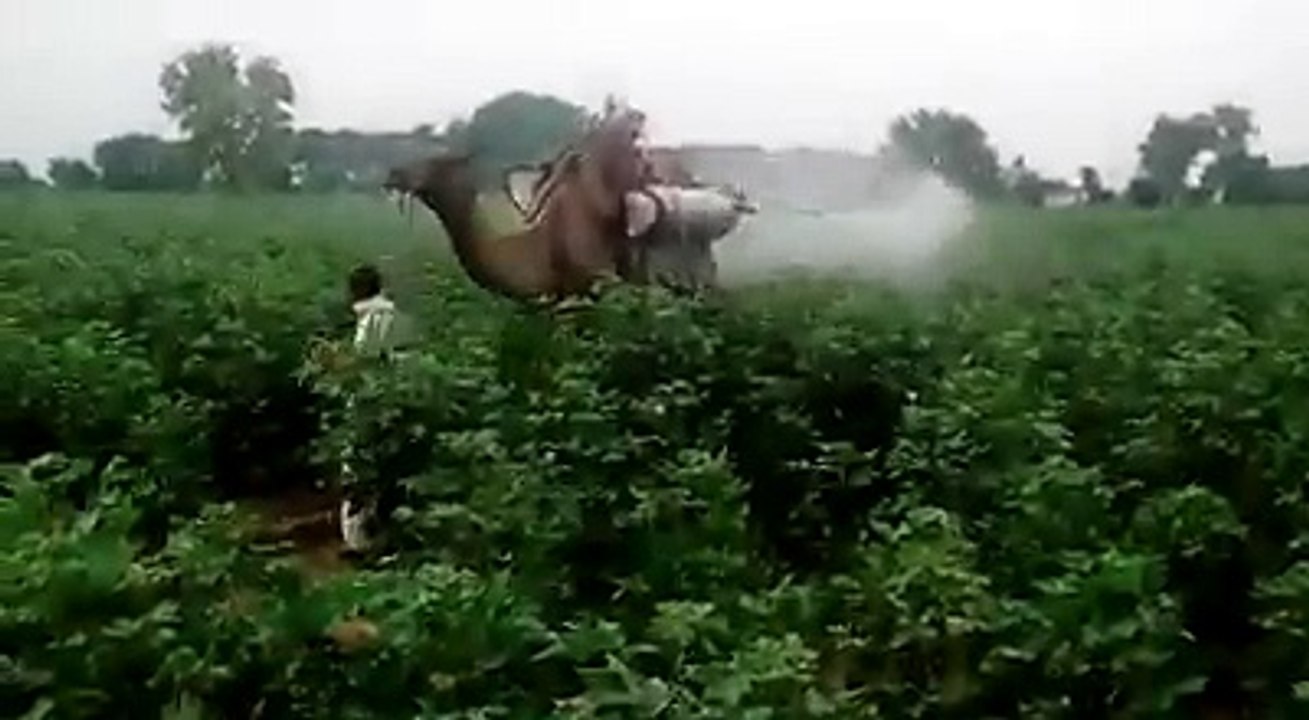أحدث تكنولوجيا2017