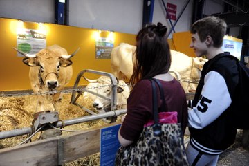 Flash Info 08-12-2016 Sisqa, la plus grande ferme d'Occitanie