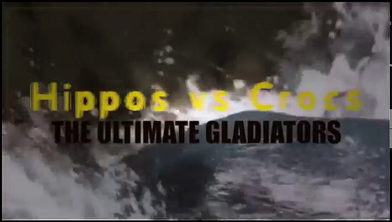 Watch HIPPOS VS CROCS - The Ultimate Predator [Animals Documentary NAT GEO WILD]