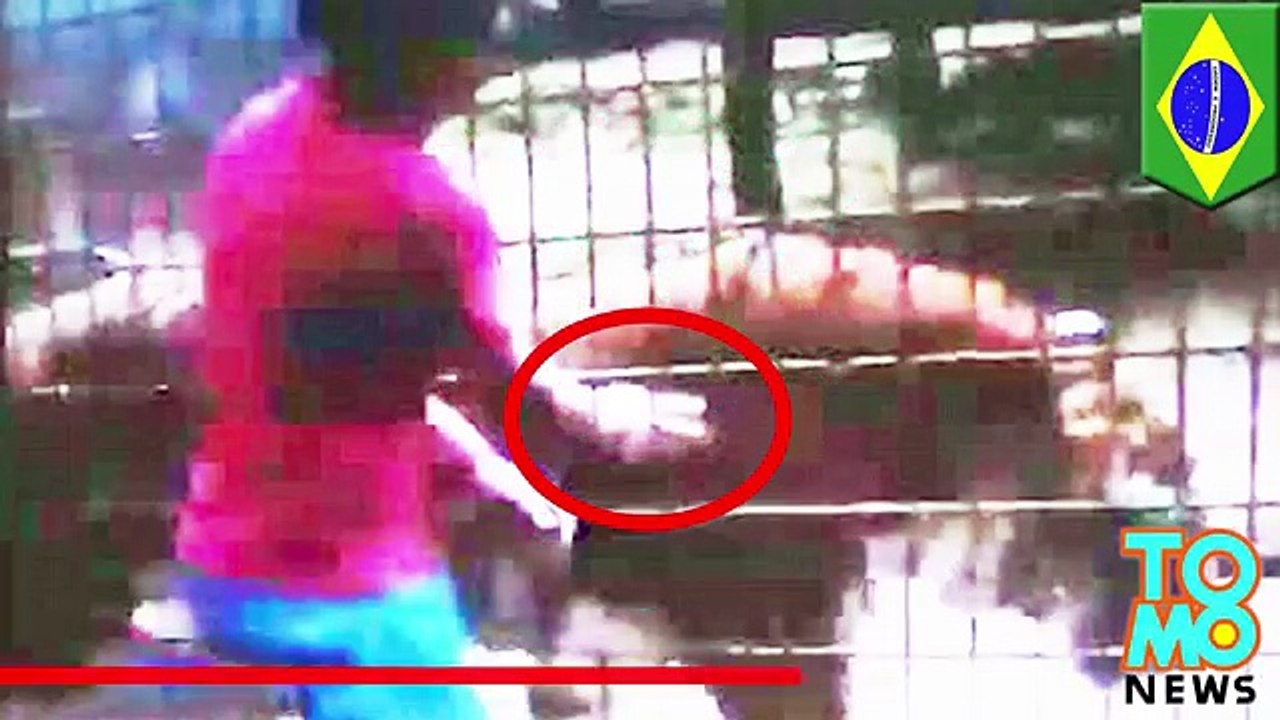 Lion attack  tourist mauled to death - tigers and lions kill round-up