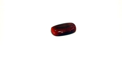 B9 I N Red Coral Moonga 8.83 Carat | +91 022 24157317