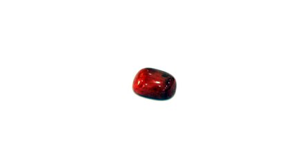B11 I N Red Coral Moonga 6.90 Carat |+91 022 24157317