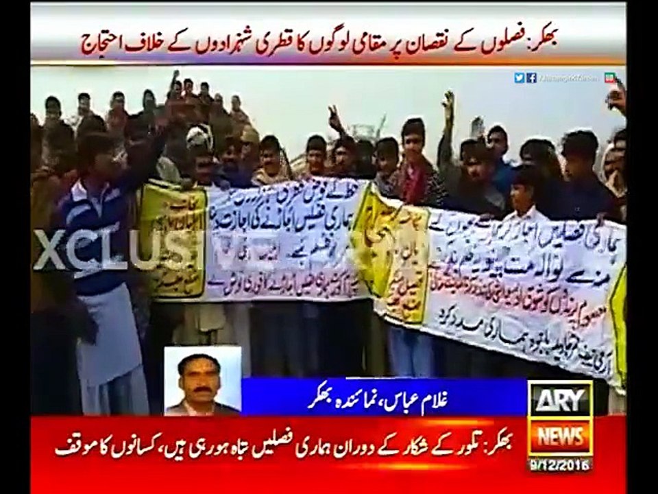 پانامہ خاندان کے قطری شہزادوں کی پاکستانی عوام کے ہاتھوں درگت