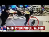 Sahibi istedi Pitbull yoldan geçen adama saldırdı