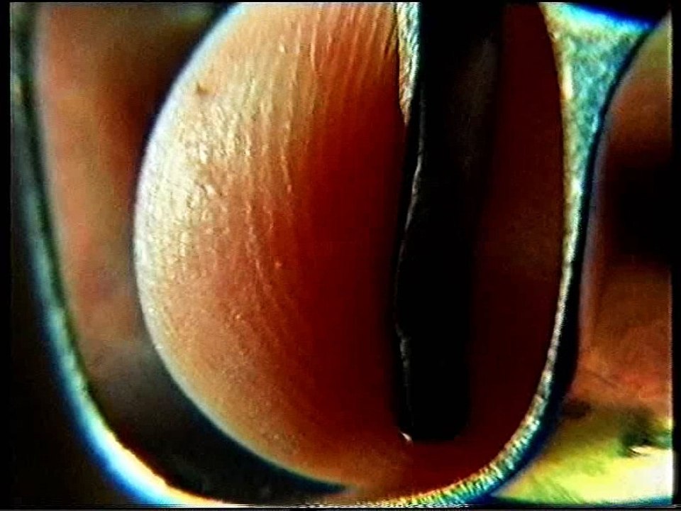 Заставка "Кино в 21:00" (СТС-Сигма, 01.09.2005)