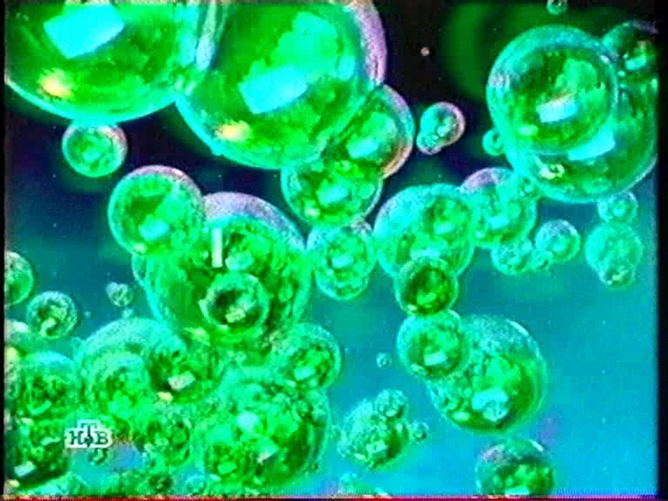 Фрагмент Прогноза погоды, Рекламный блок, Часы, Сегодня с Михаилом Осокиным (начало) (НТВ, 29.07.2005)