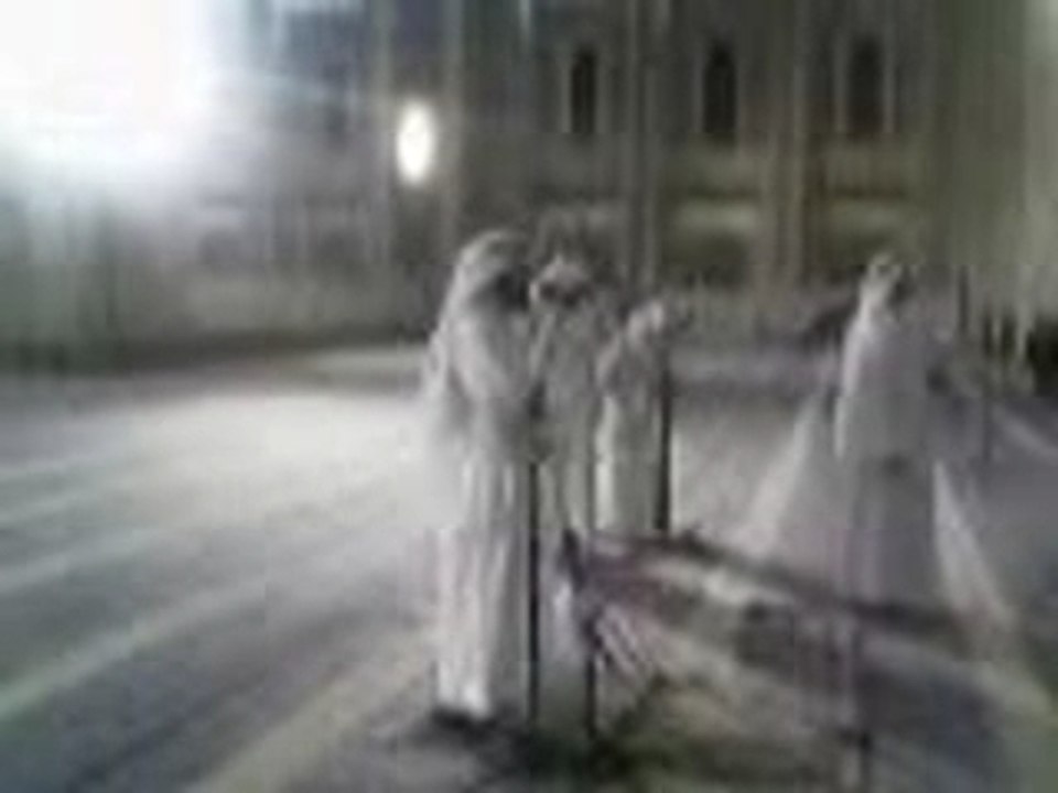 Sheikh Al hashem : test-son