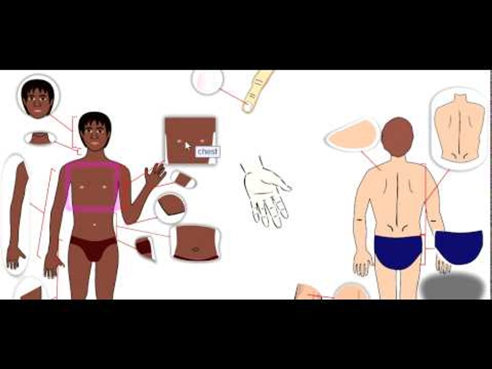 PJESET E TRUPIT NE ANGLISHT - THE BODY S LIMBS IN ENGLISH - MESIMI 3