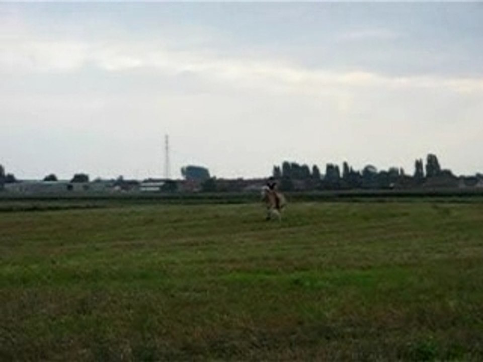 galop a cru ds un champ =)