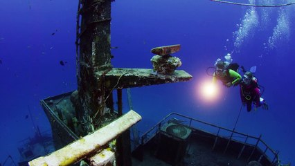 Dive the Sea Trader with Stuart Cove’s Dive Bahamas