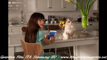 Una vita da gatto Guardare Film Completo Streaming italiano Gratis