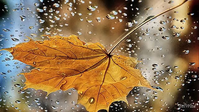 ВИА Весёлые Ребята - ЕСЛИ ЛЮБИШЬ ТЫ