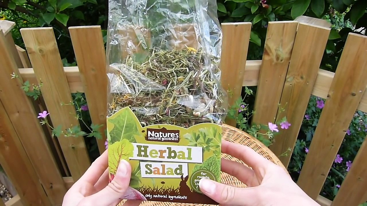 A Healthy Gerbil Diet   What I Feed My Gerbils