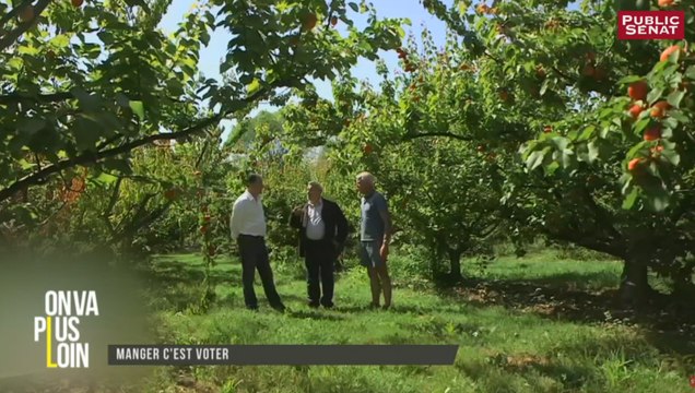 On va plus loin - Le 24h sur Public Sénat (08/12/2016)