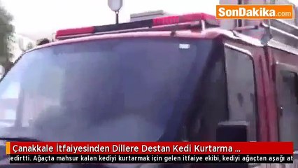 Çanakkale İtfaiyesinden Kedi Kurtarma Operasyonu