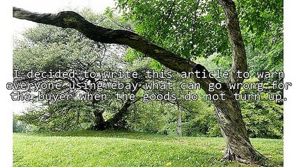 Reasons To Be Careful When Buying Goods On Ebay