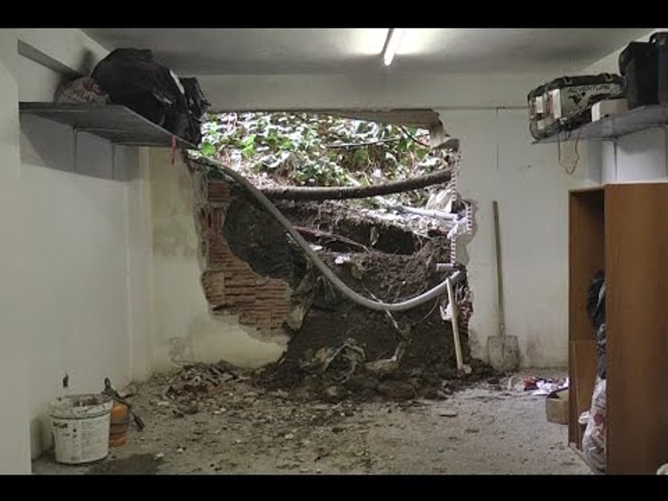 Report TV - OSHEE padit firmën private,punimet...