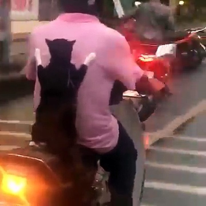 Yavaş Git Panpa =)