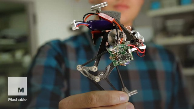 This tiny robot can jump better than you