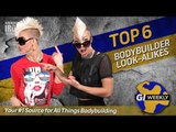 Top 6 Bodybuilding Celebrity Look-Alikes | GI Weekly