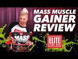 Mass Muscle Gainer Brings Bigger Gains | GI Supplement Highlight