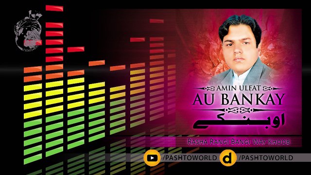 Pashto New Songs 2017 Ameen Ulfat Volume 713 -Rasha Rangi Bangi Way