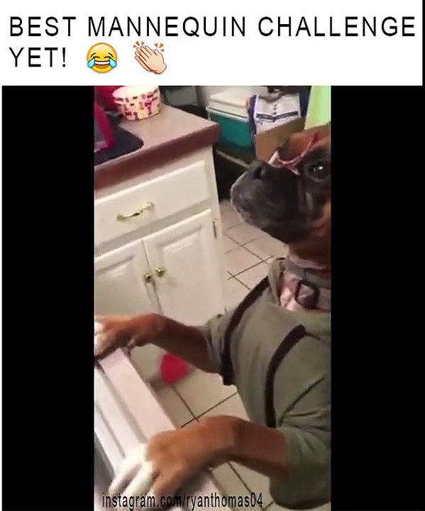 Best Mannequin Challenge #!