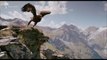 Attacking of Eagle - Most Beautiful Video -
