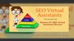 Discover SEO Virtual Assistants as the solution in your website optimization problem and get hire dedicated virtual assi